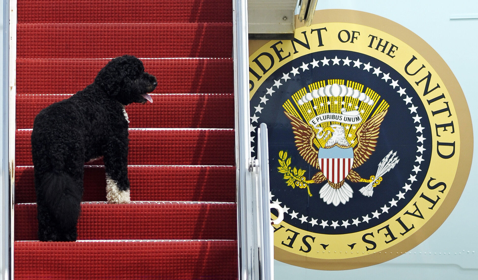 White House Pets